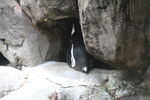DSC_9149.JPG